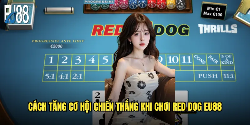 Cách Tăng Cơ Hội Chiến Thắng Khi Chơi Red Dog Eu88